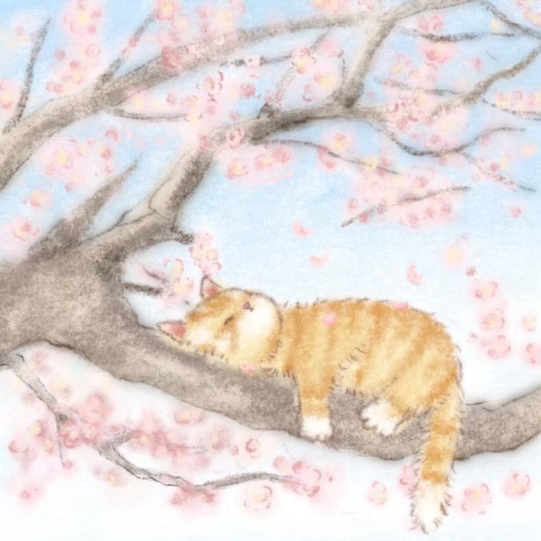 点点.