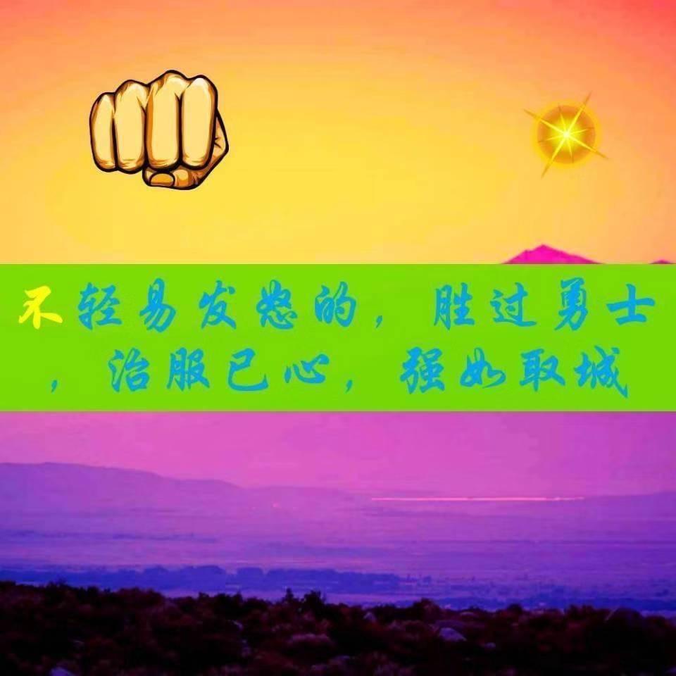 朗朗7885