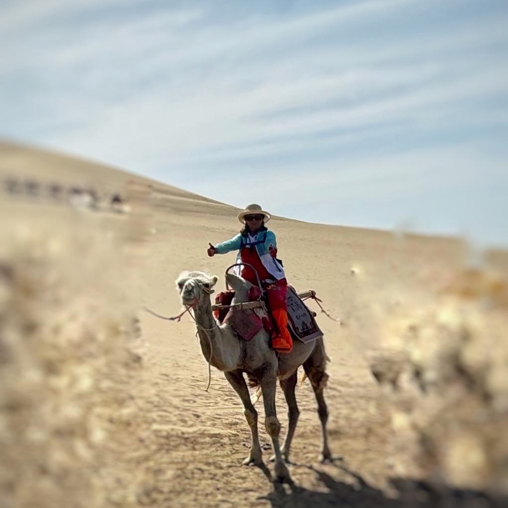 仙人球（手机摄影）