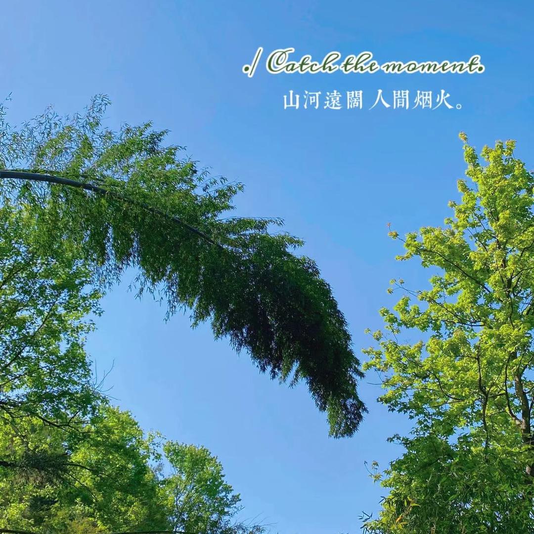 义乌市硚序电子商务商行