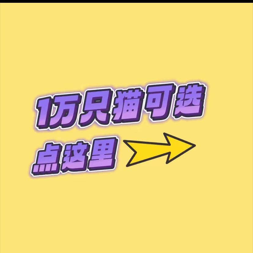展玉猫猫