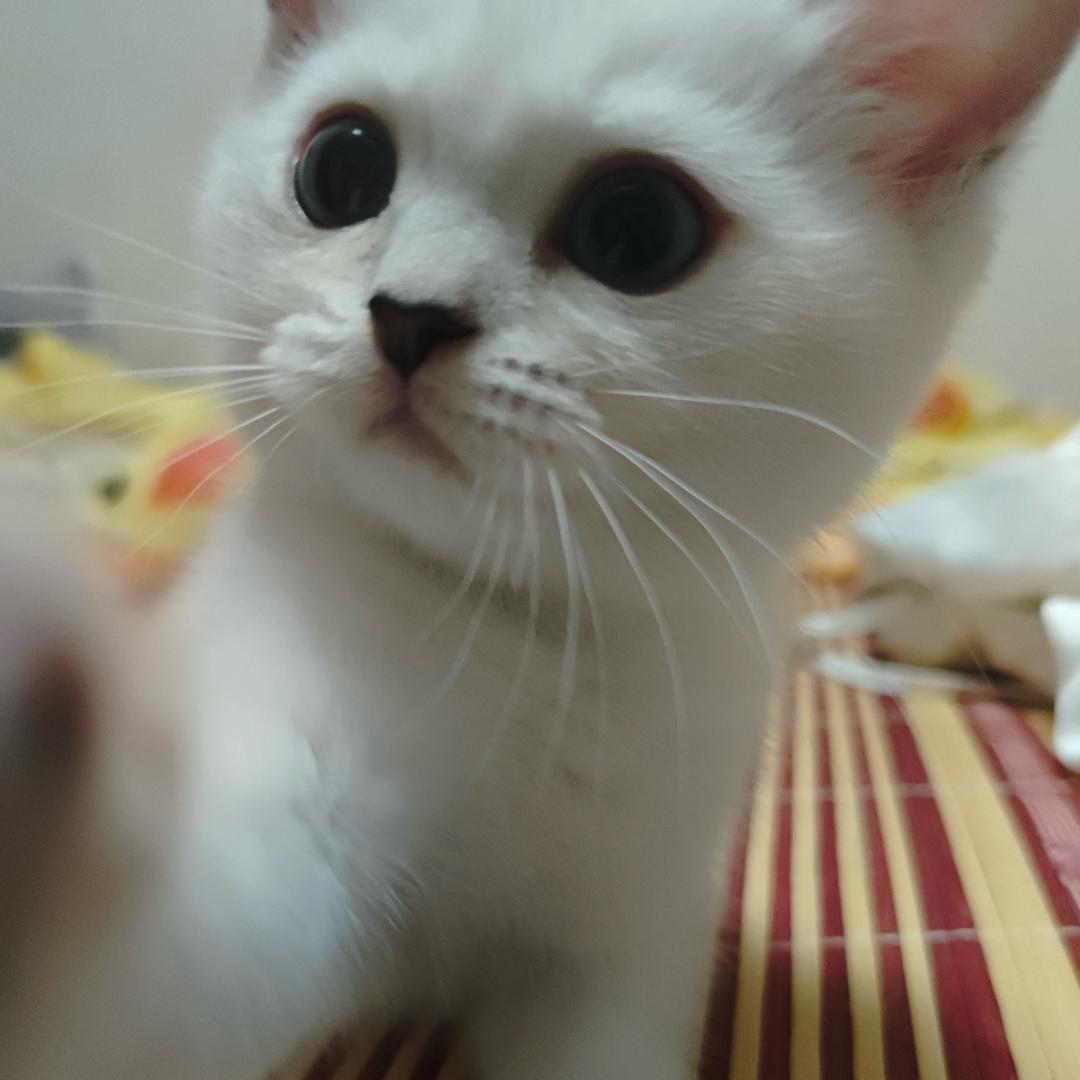 小张很慌张