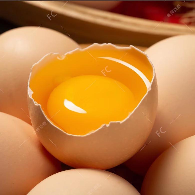 渭南市区鸡蛋供应(创业中）