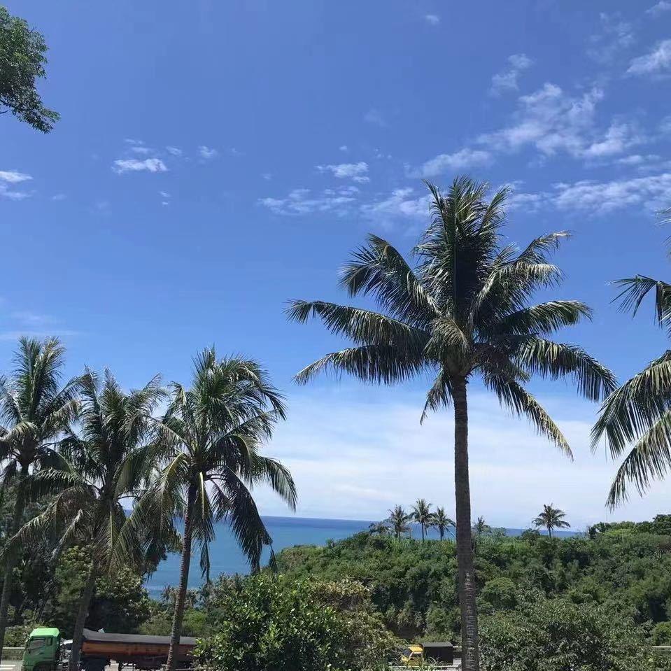 忆&昔