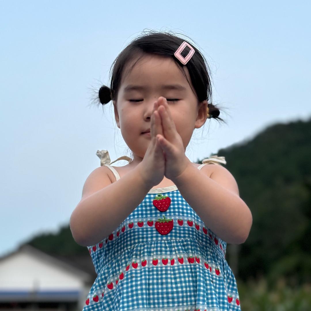 婉婉不是碗碗