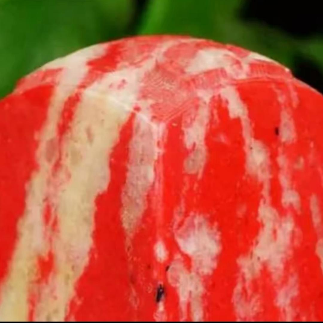 巴林石赏石山庄