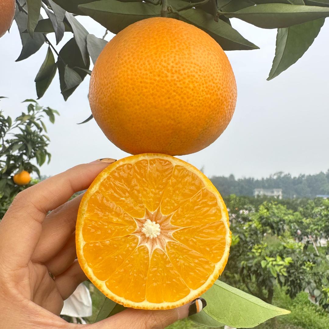 媛媛鲜果