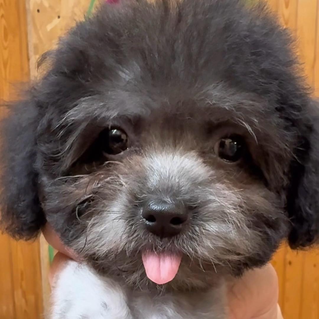 糖果🐶是咱闺女吖