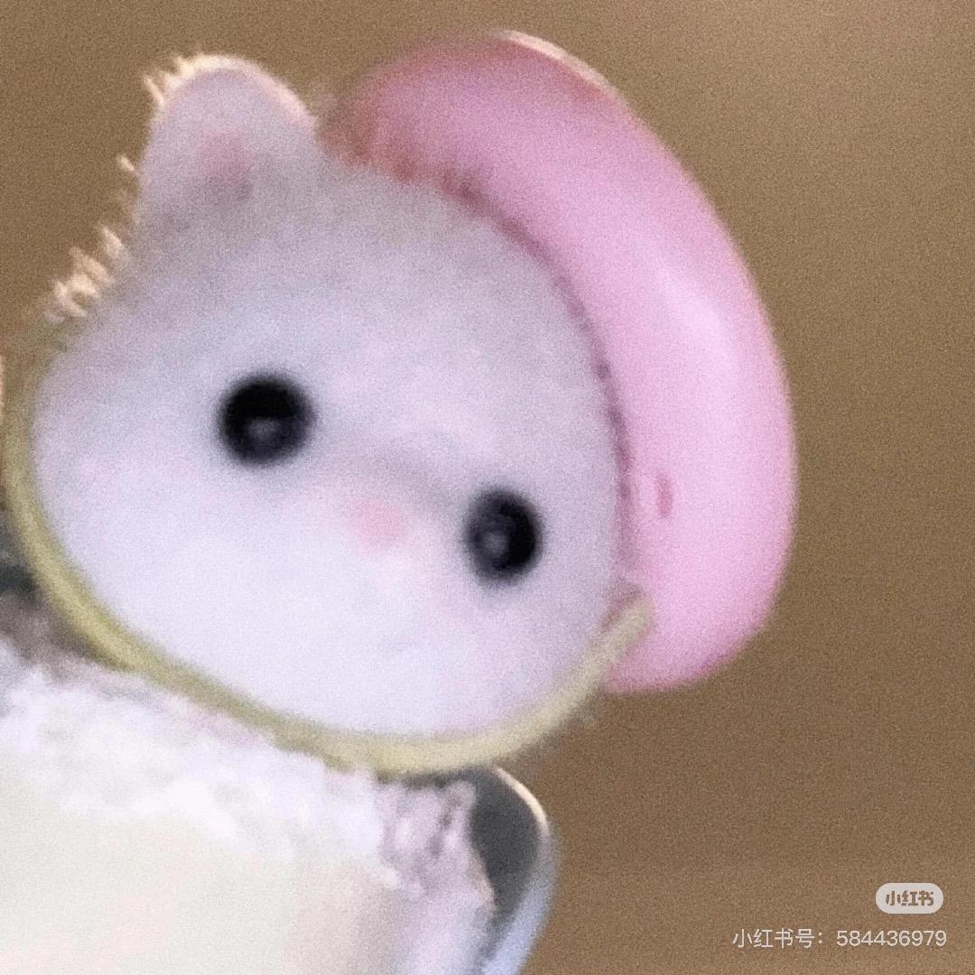 一颗豆子🥔