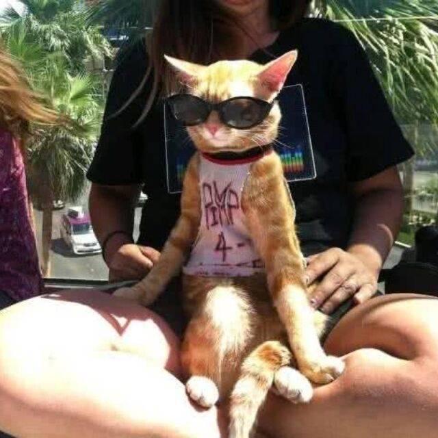 烟花客