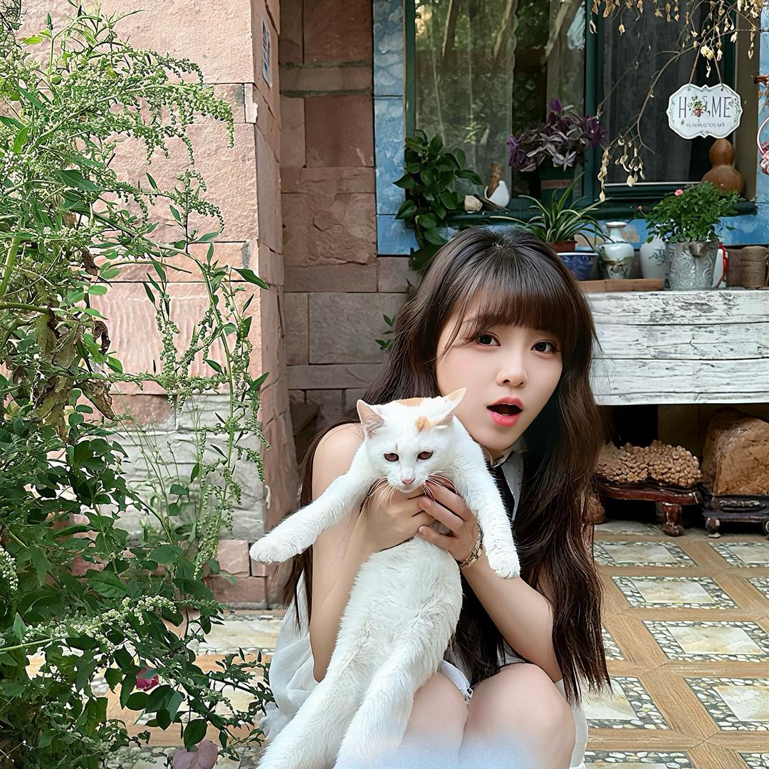🌵玖十二