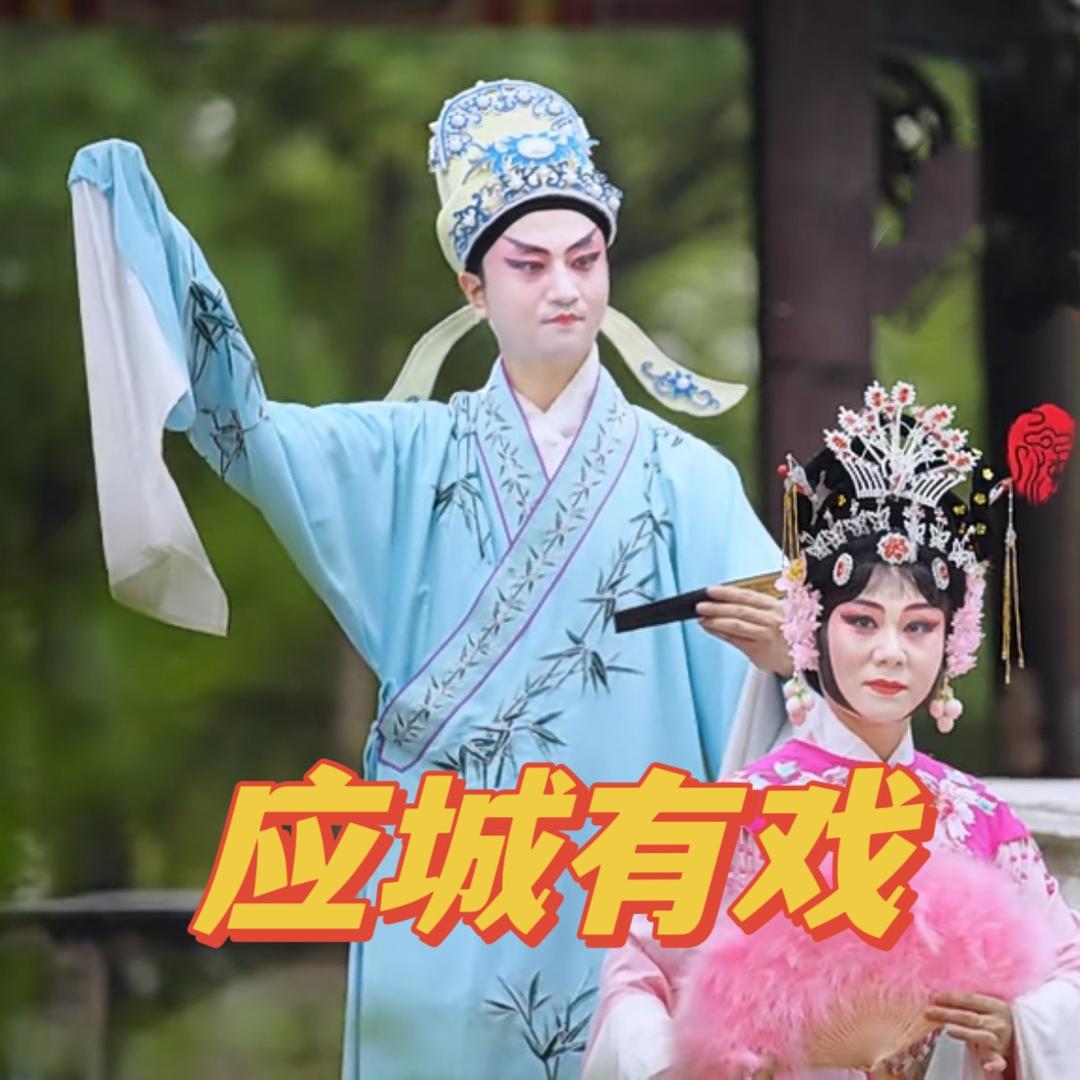 应城有戏
