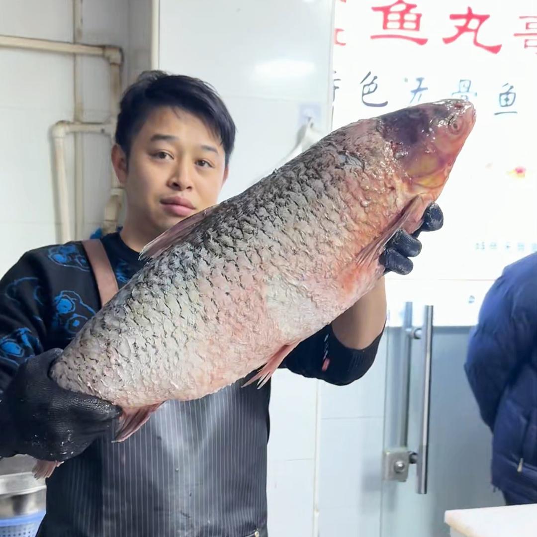 上海鱼丸哥