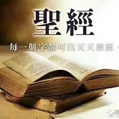 V13773416531