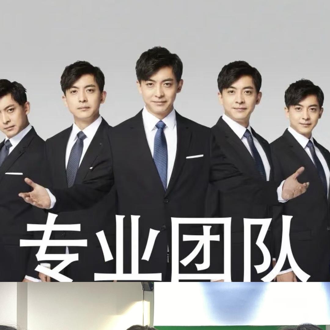 专业团队（四小只）