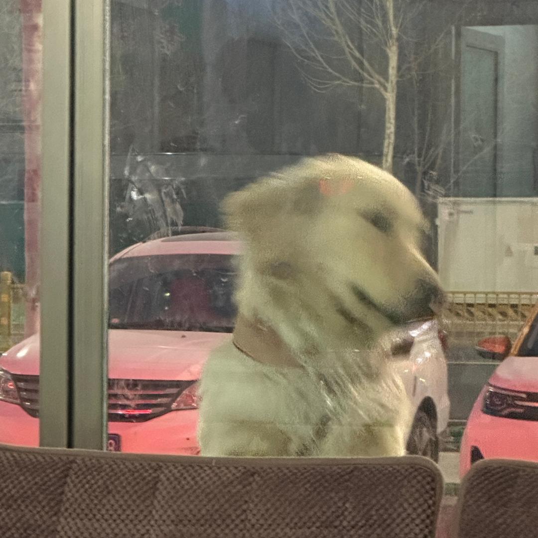 发财