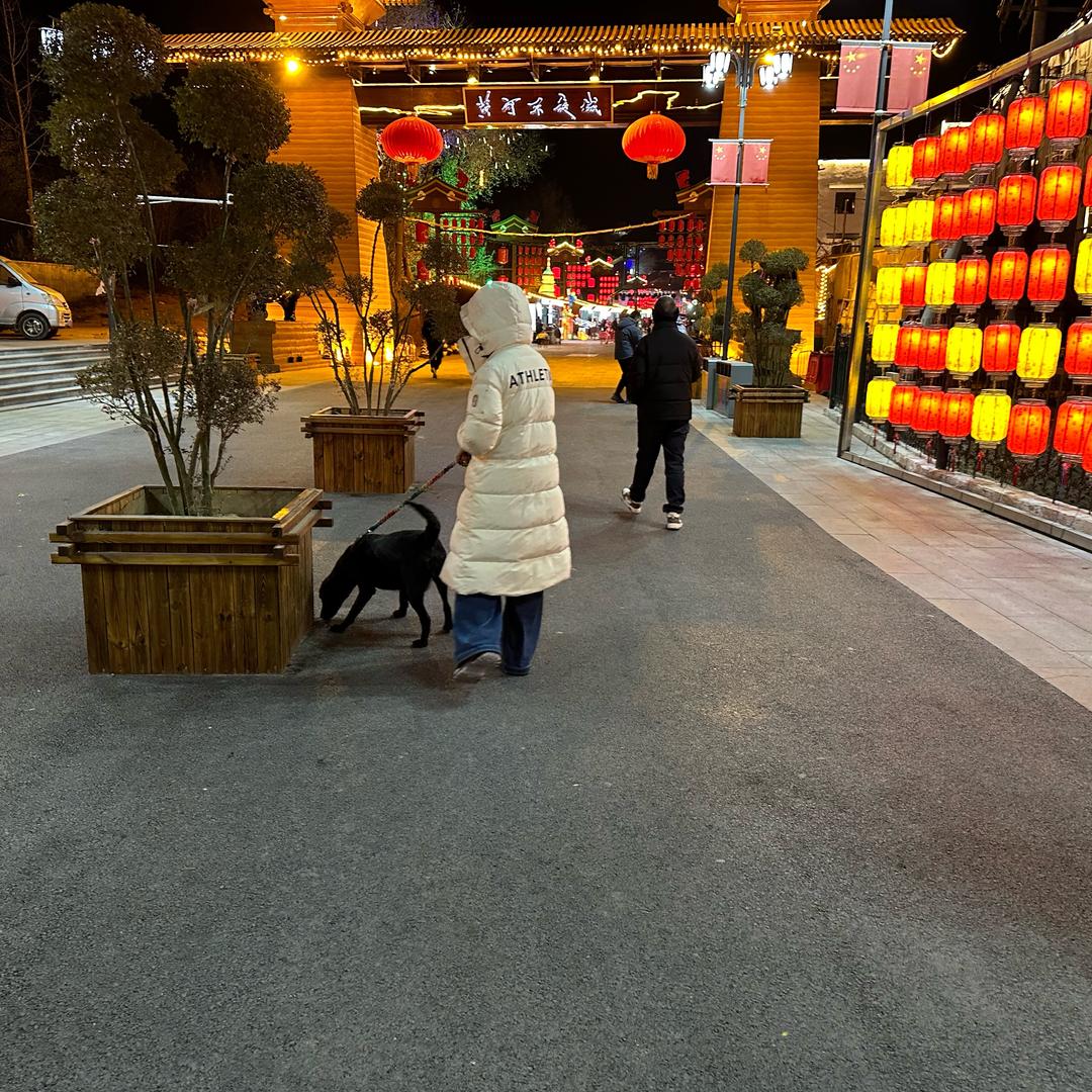 中年觉醒