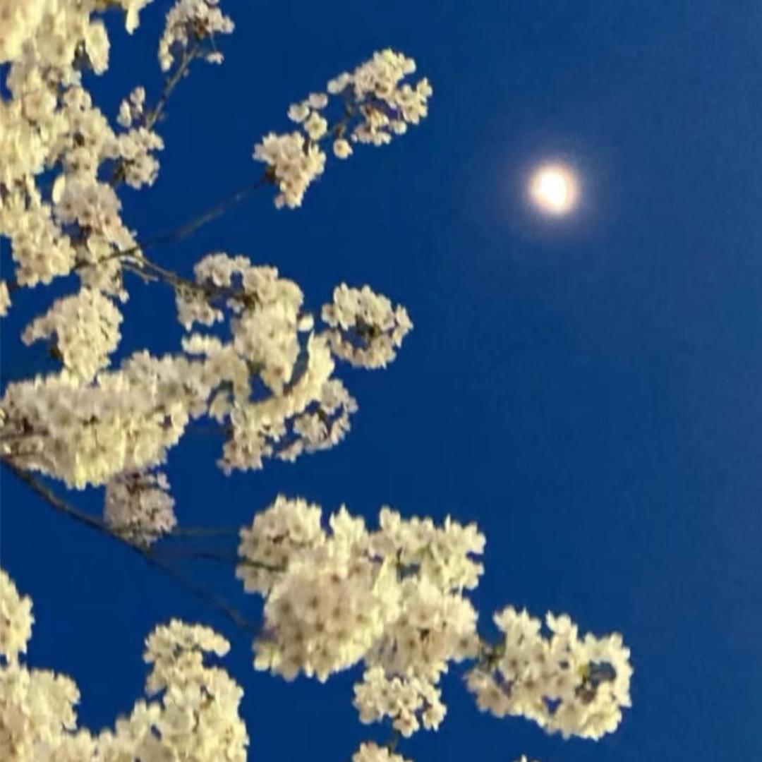 不破不立