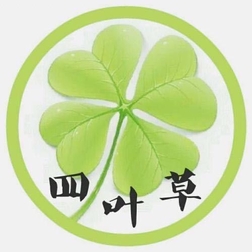 四叶草之恋