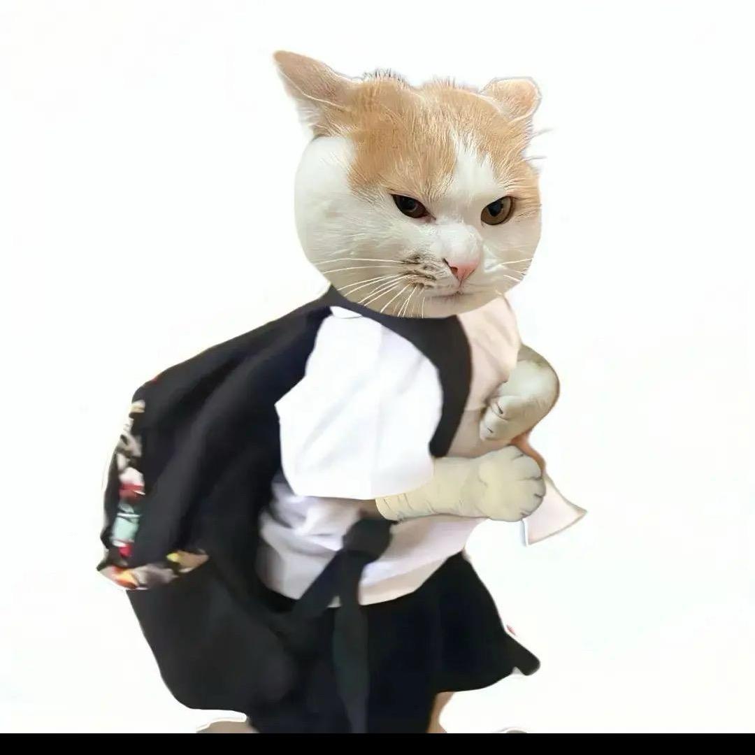 小琳小琳 幸运降临