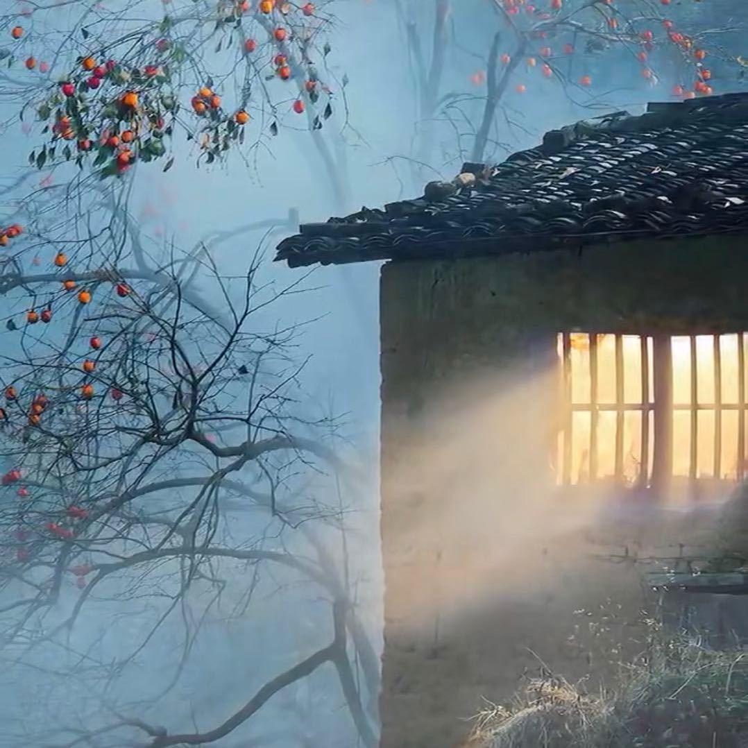 云遮雾盖春常在