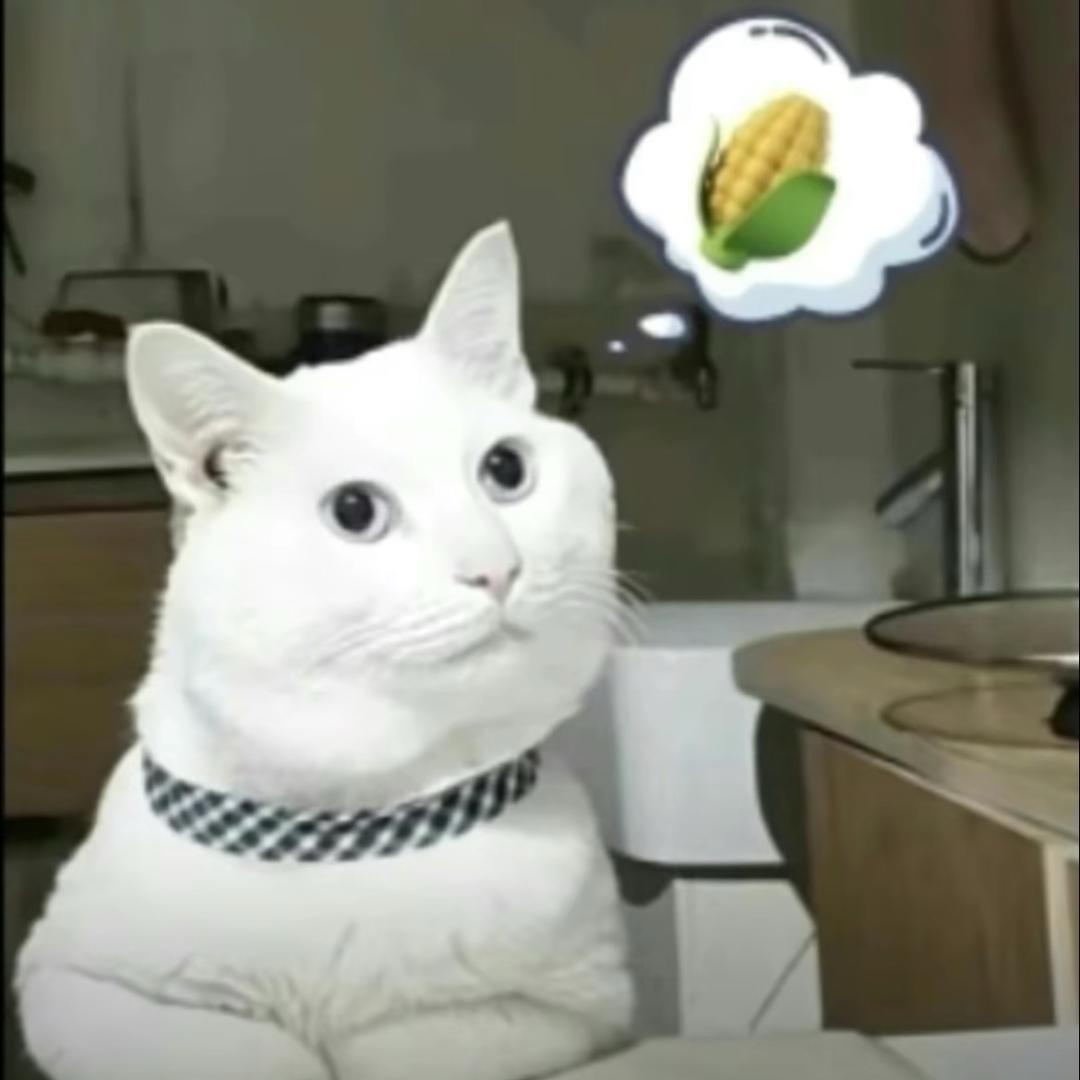 自由