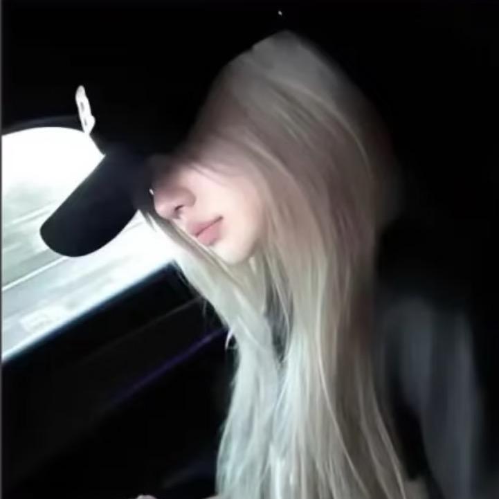 蜘蛛网
