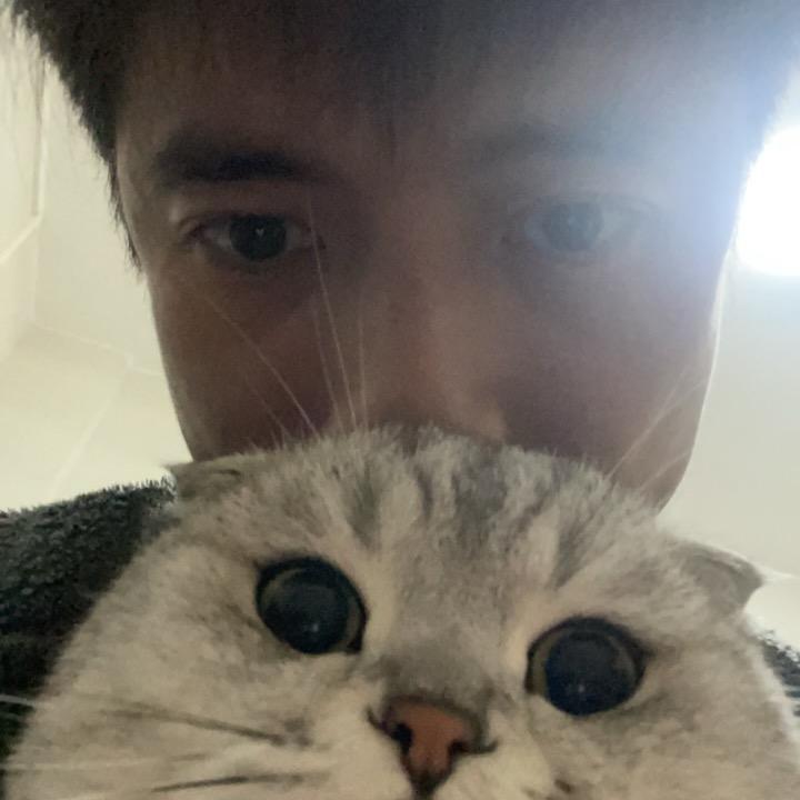 路飞