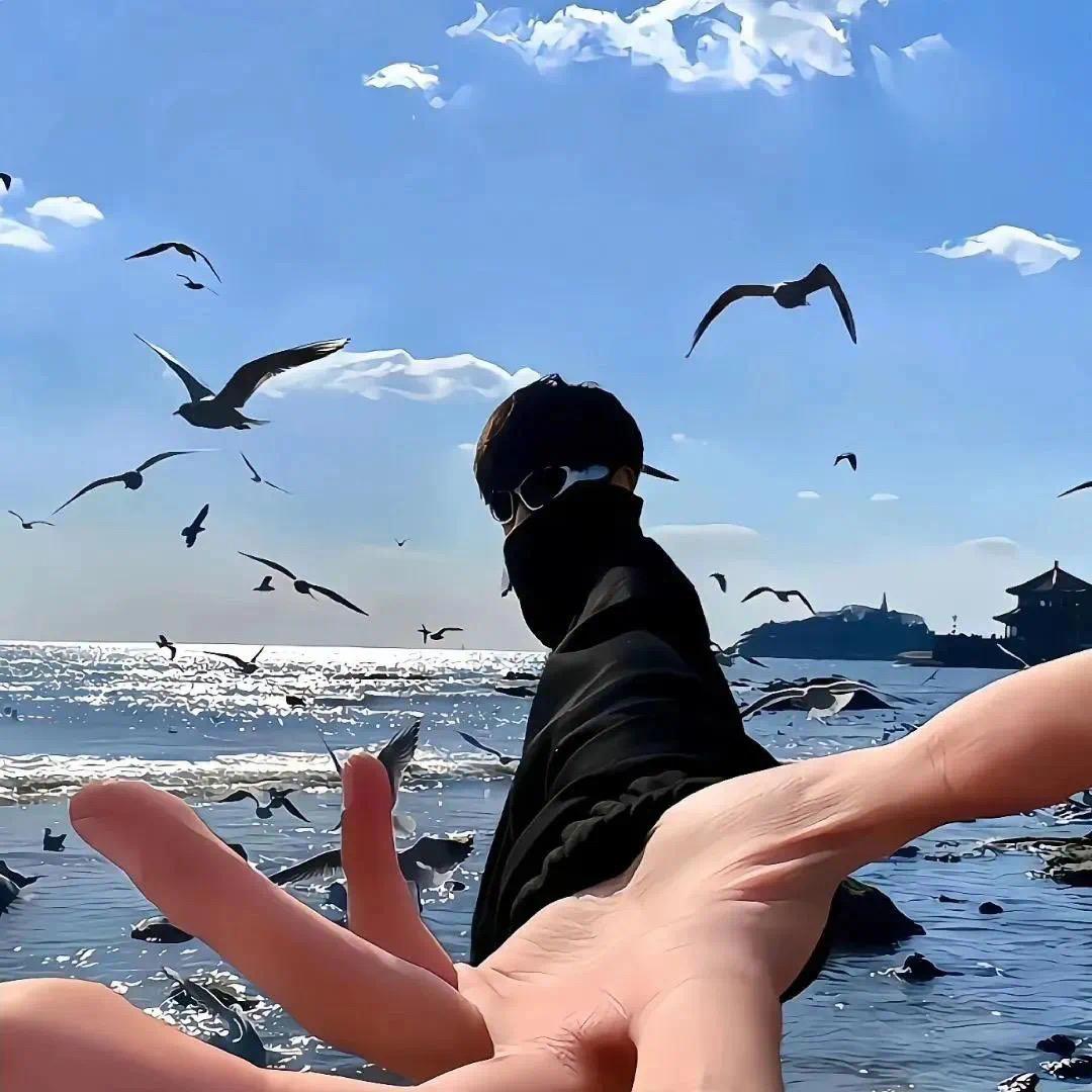 乌鸦偷走我的棱角