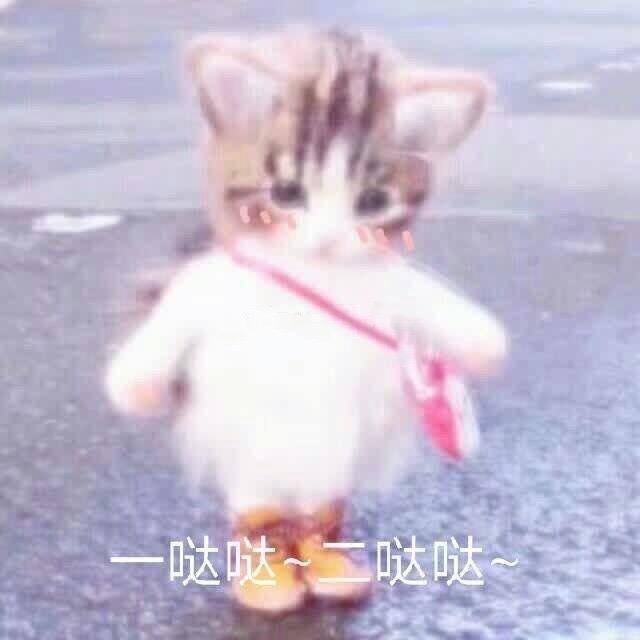 只ZHI