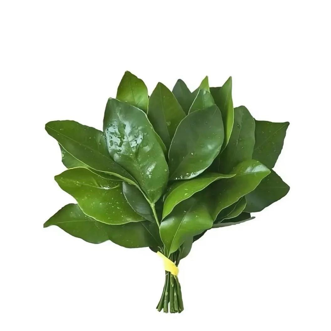 不知道取什么名字