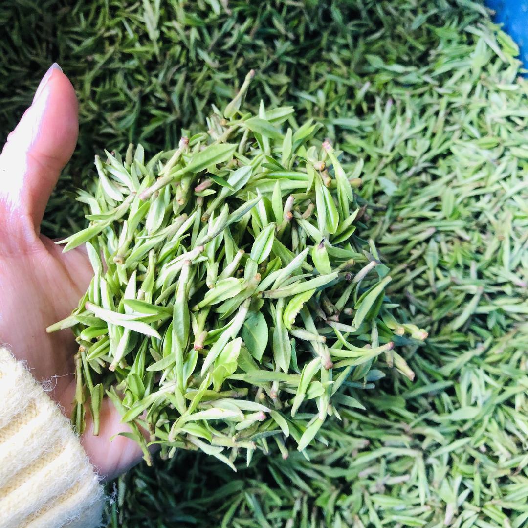 嘉叶茗茶茶业