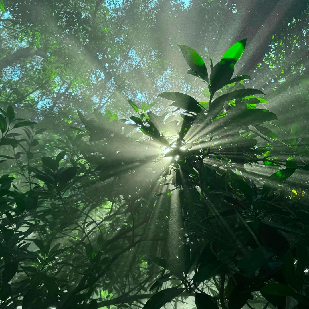 悦悦今天吃饭了嘛