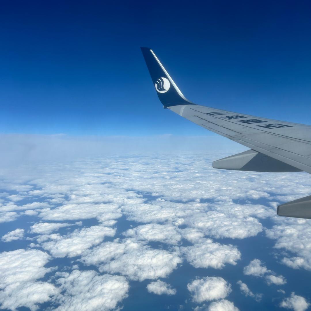 ঞ᭄顺势而为꧔ꦿ᭄