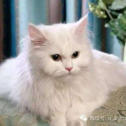 存在