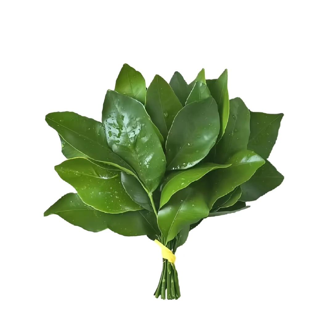 睡个好觉咯