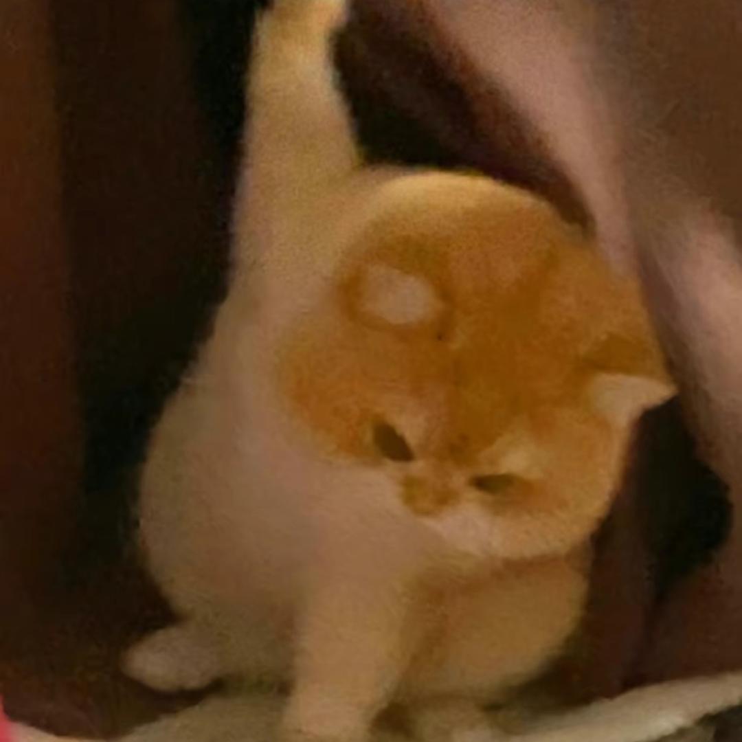 过桥米献