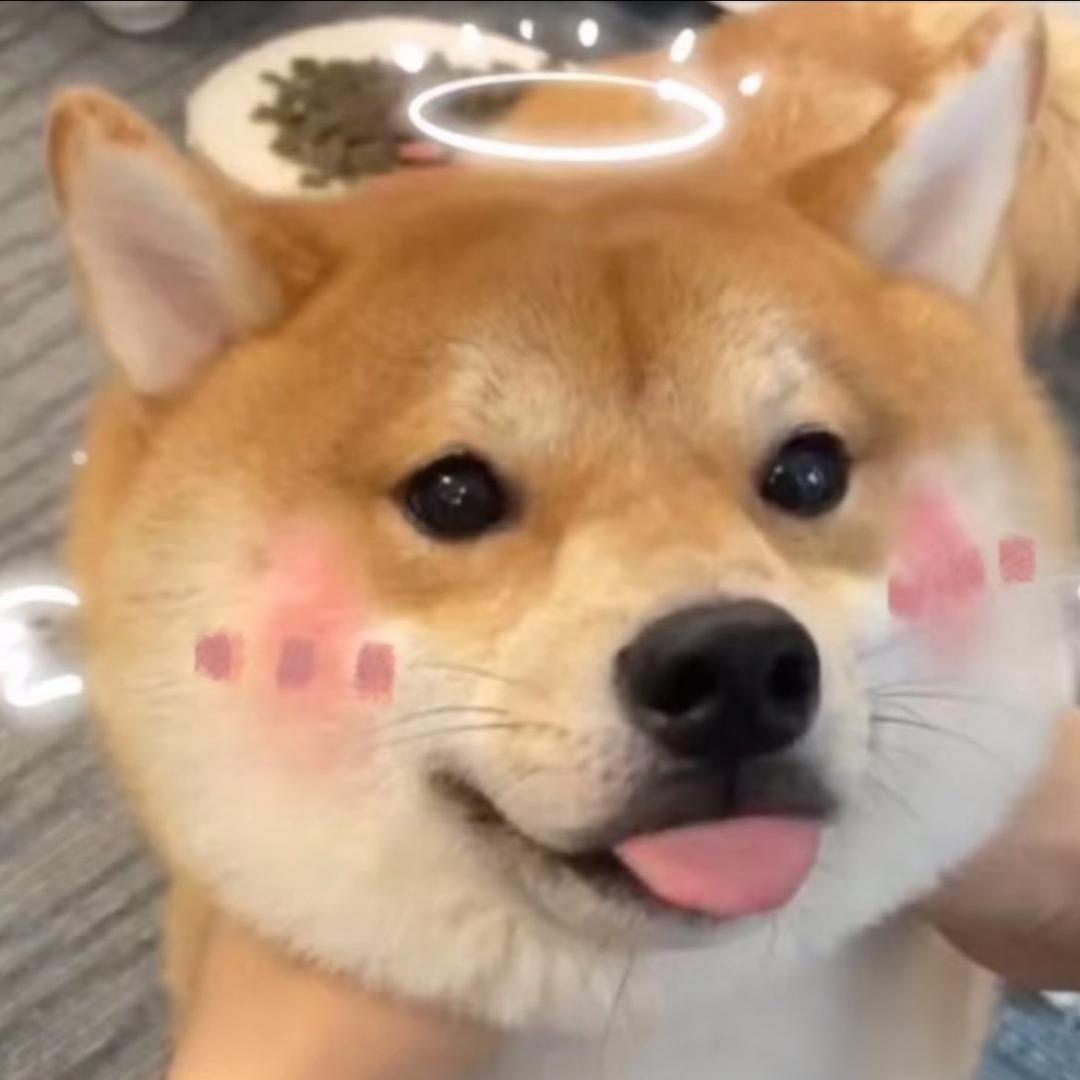王王仙贝