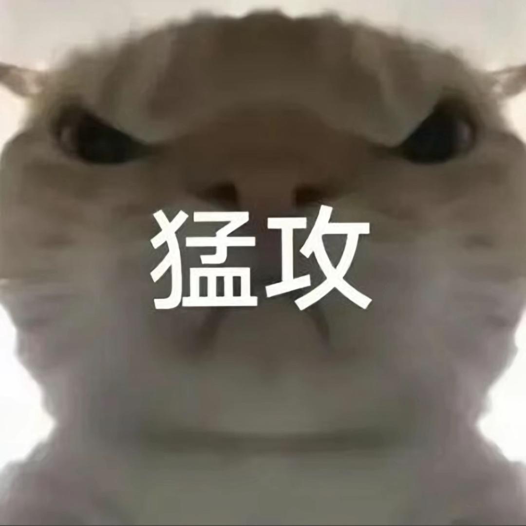 舟尧