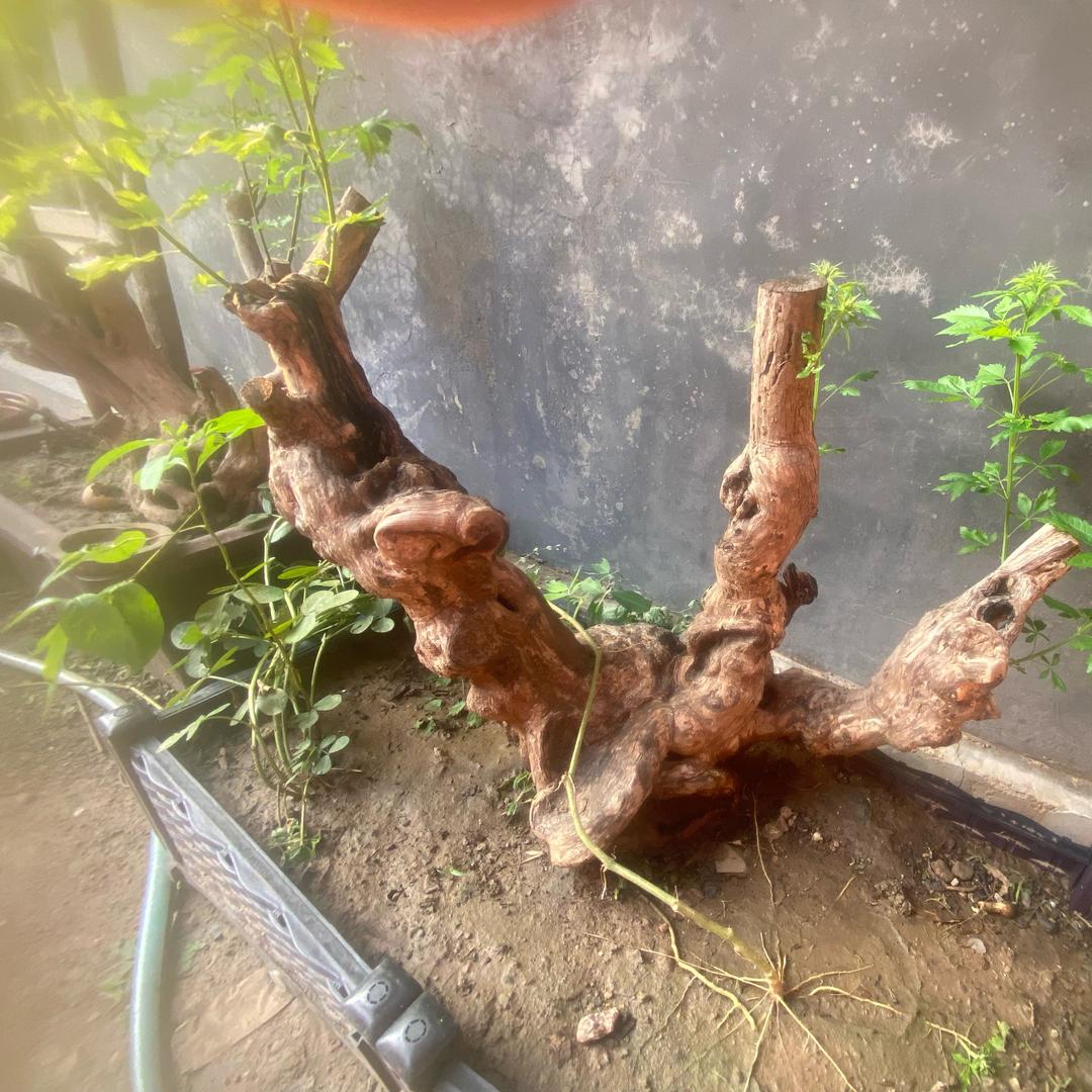有缘人