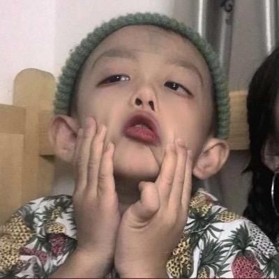 小狗乖乖