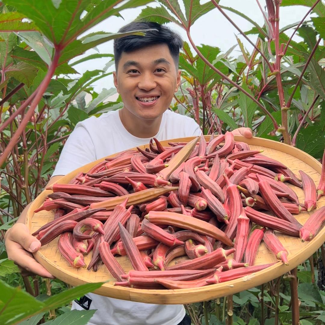 松哥爱种菜