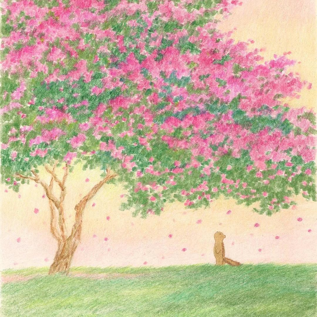 猫踢毽子
