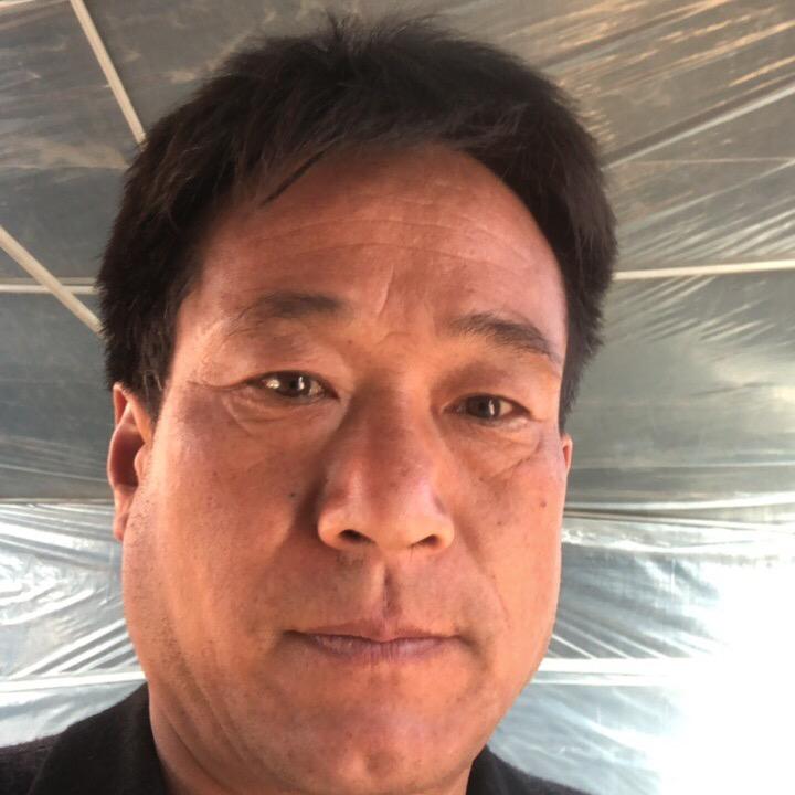 陈红旺