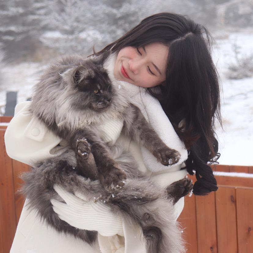 猫心理学陈花花