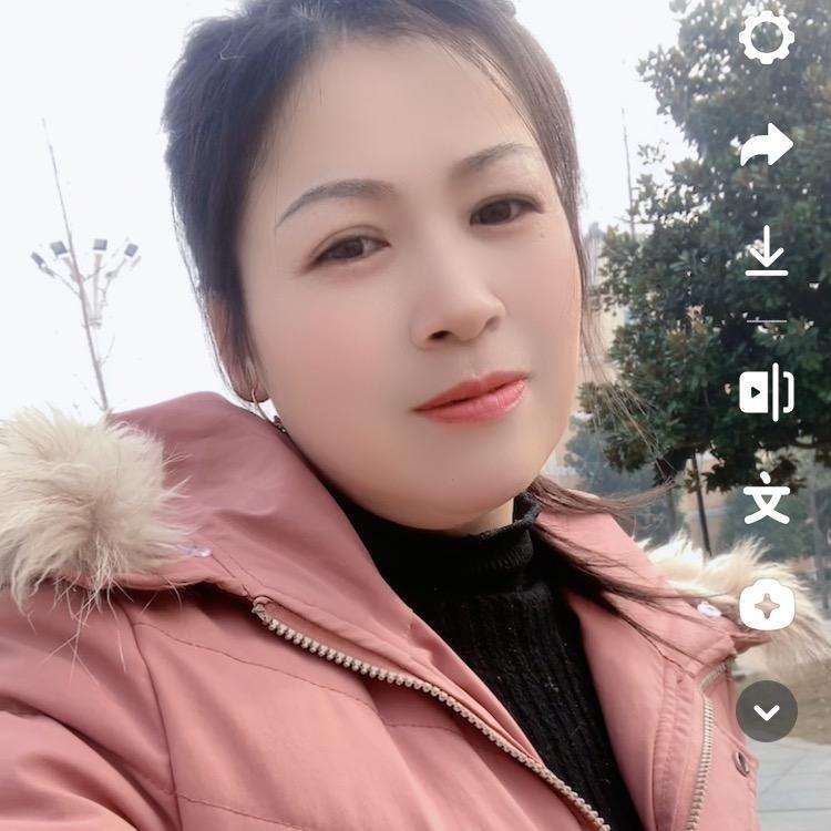 菊春