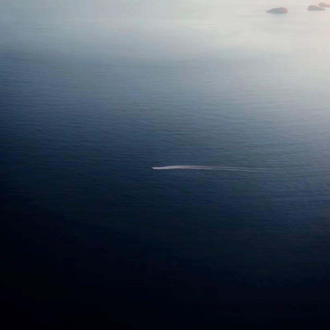 刘禹骁