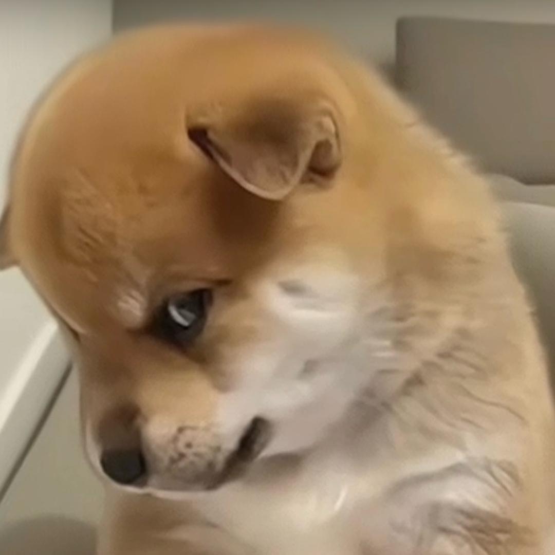 ～一念～放下～