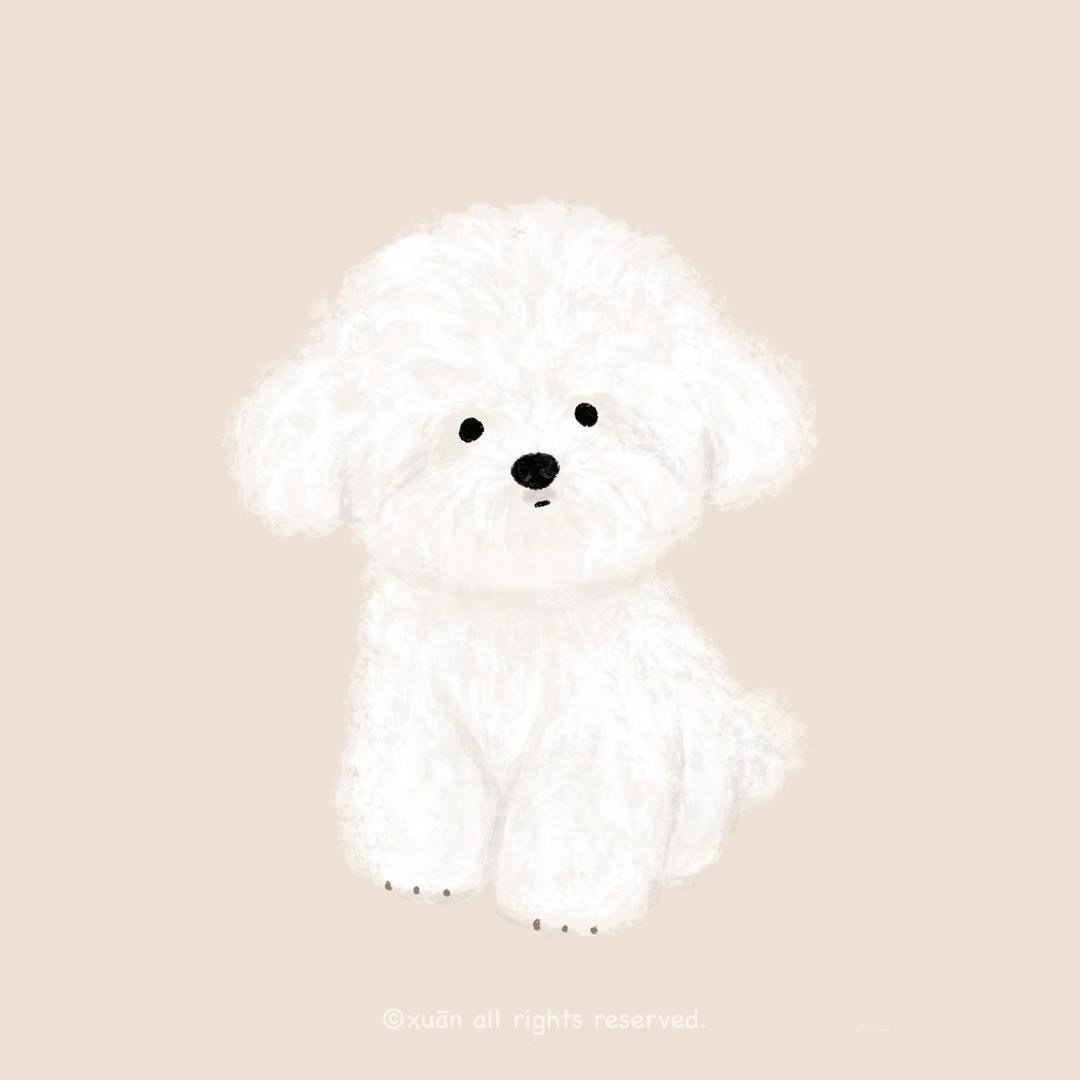 小声的朋友圈🐶