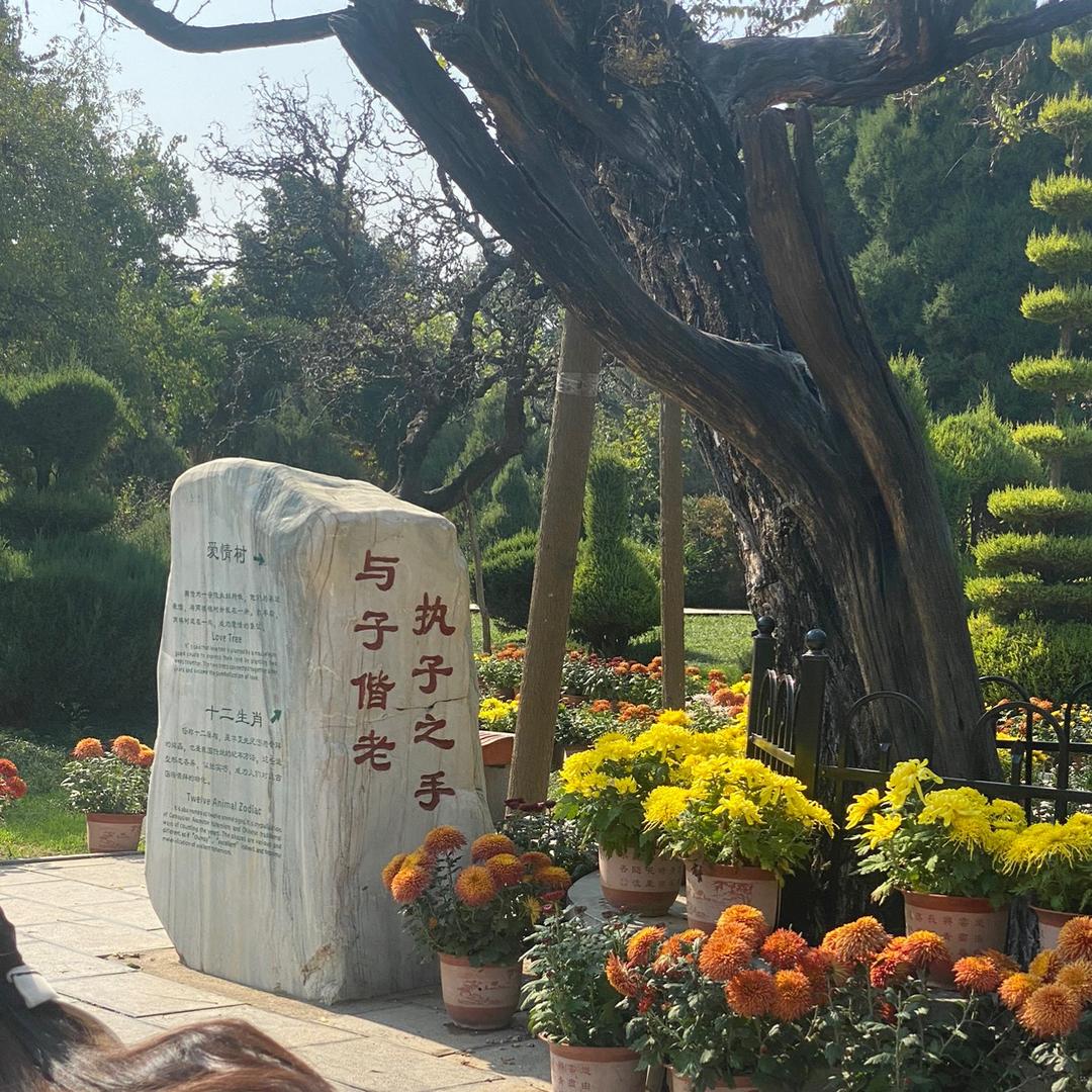 爱梅一辈子